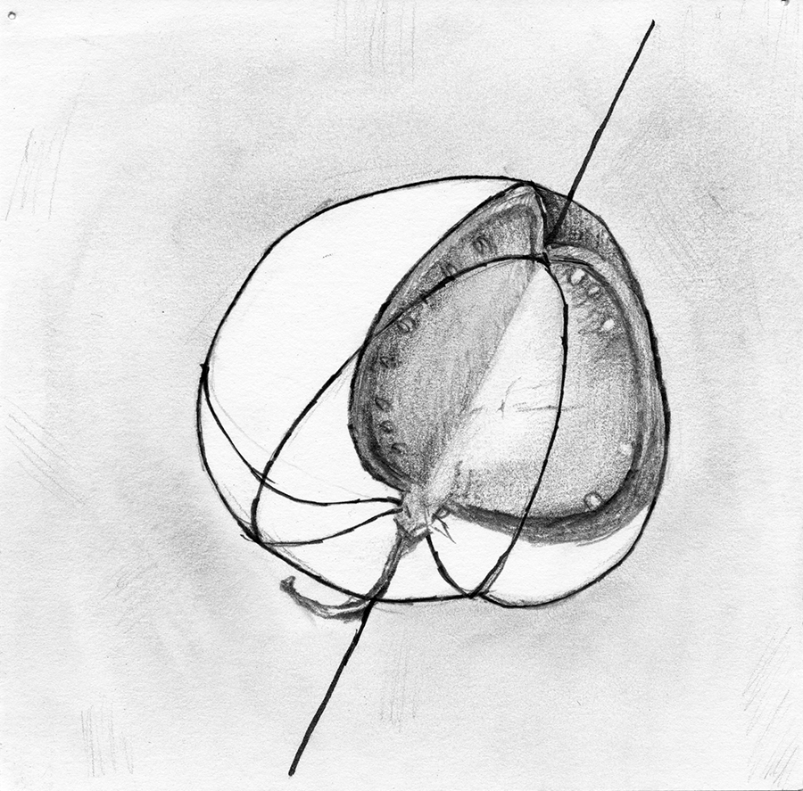 Fruit Drawing